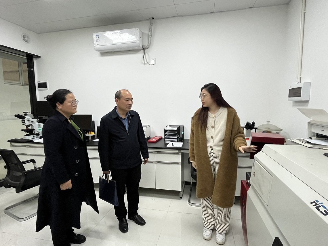 为积极应对开云官方注册携手欧联杯开启